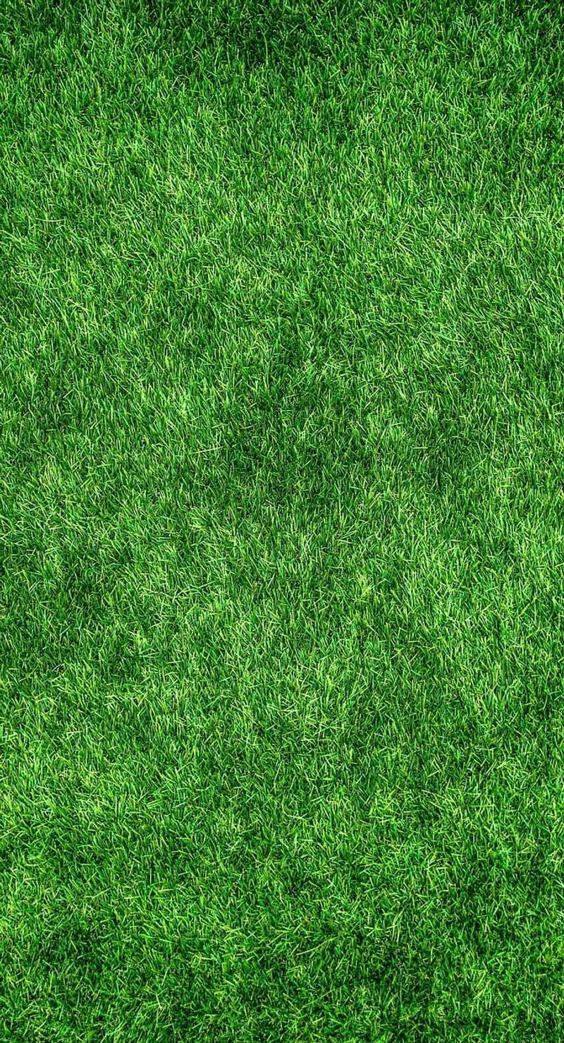 Eco-Friendly DIYs